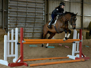 Renegade Equestrian: Dedicated to Developing Confident Athletes