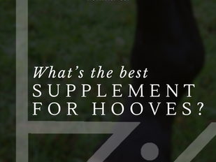 FAQ: What's the best hoof supplement for horses?