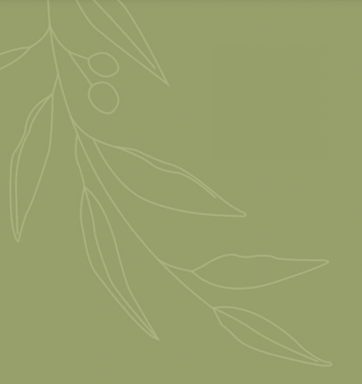 Olive Branch