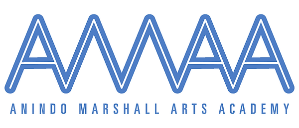 Anindo Marshall Arts Academy | Curriculum