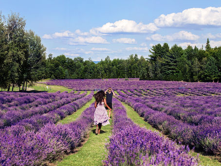 Lavanderaie Bleu Lavande | Rabais sur activité