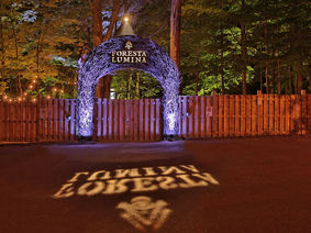 Foresta Lumina | Rabais sur activité