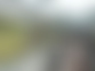 Parc Safari - Prévente de billets