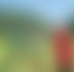 Centre de plein air l'Estacade - Prévente de billets - ANNULÉ