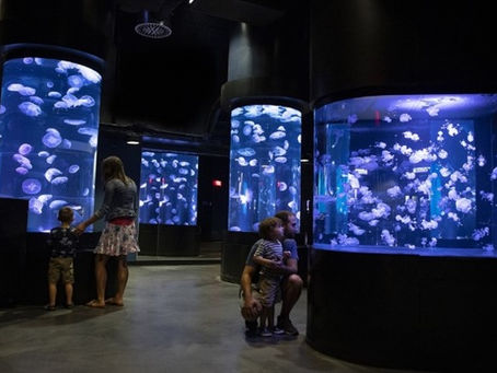 Aquarium de Québec | Rabais sur activité