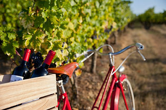 bikes and wine.jpeg