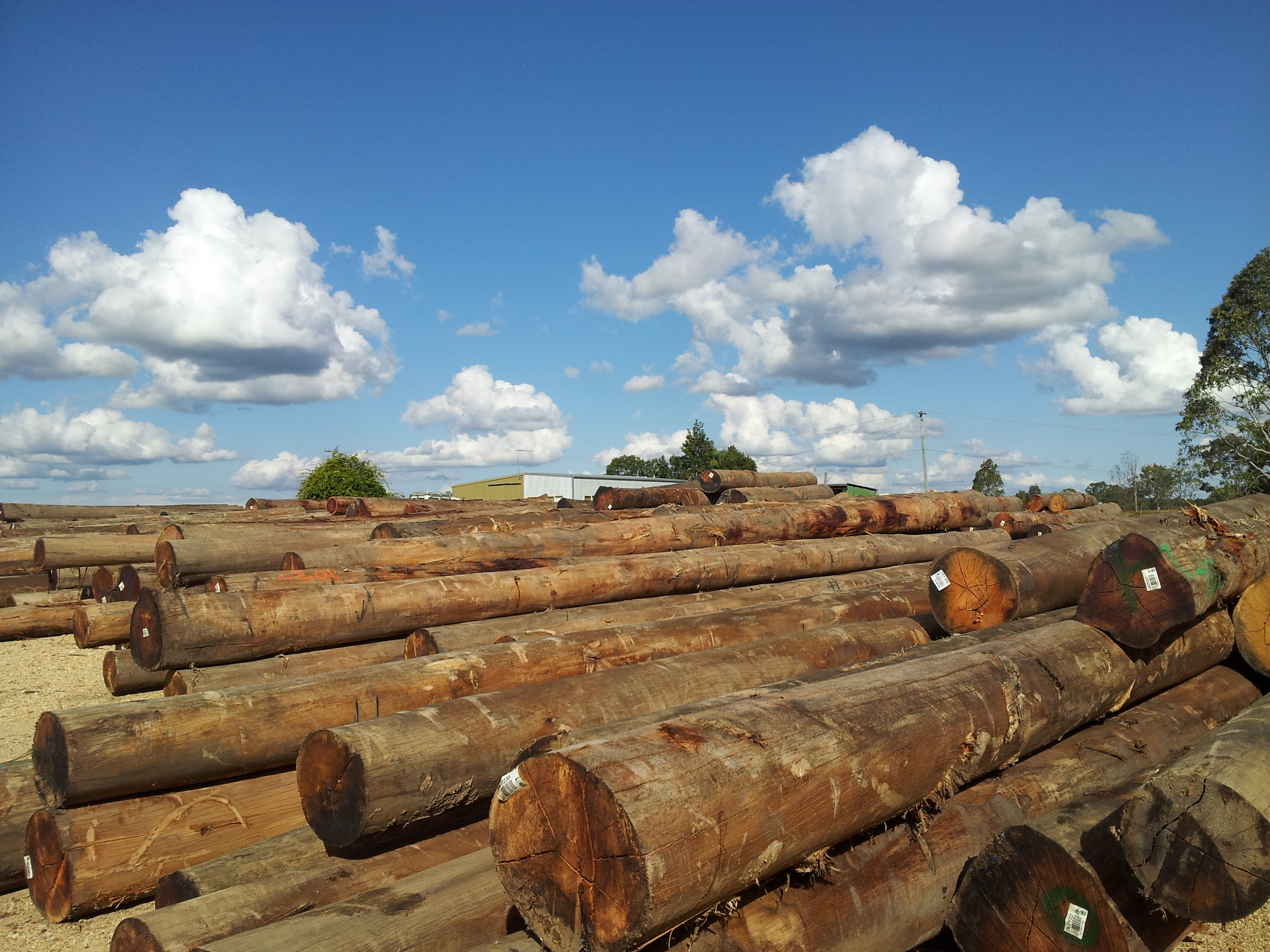 Timber Export oceanimports