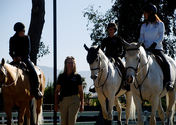 Academy horse riding lessons