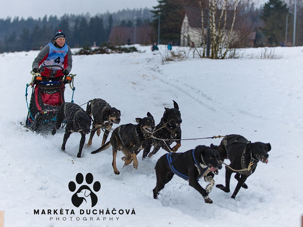 Přes kuličky zmrazek nic nevidim. Vzít si brejle mě samozřejmě nenapadlo.
