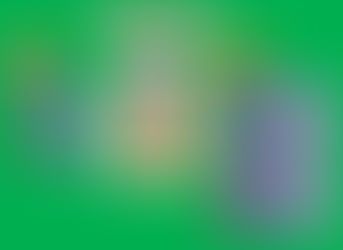 Sistema reproductor masculino