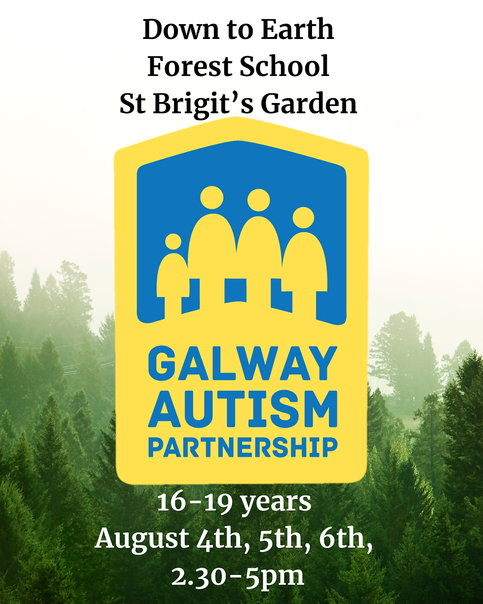 Older Teens (16-19) Down to Earth Forest school (Low-Medium Support)