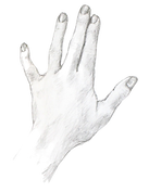 EndSketch_edited.png
