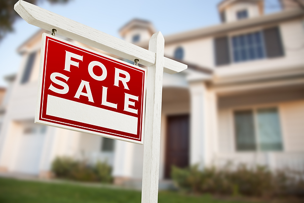 Untitled design-9.png