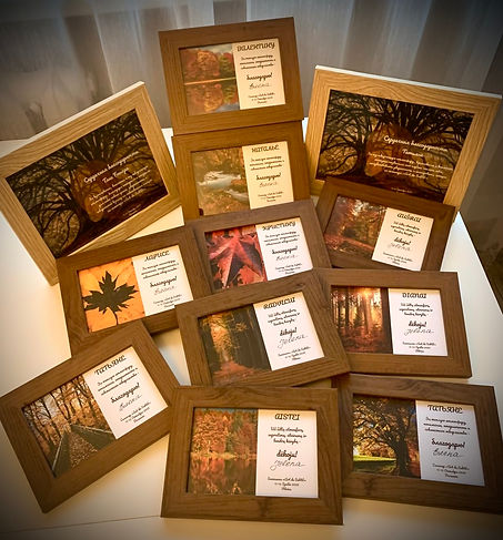 Дипломы от Елены.jpg