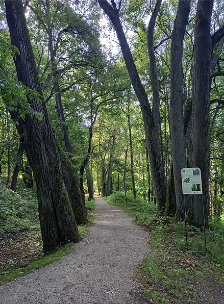 PH JBotanique Vilnius.png