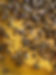 cea17840-5d7b-493d-b1eb-f32c5b14bf3a.JPG