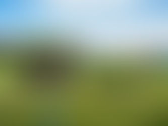 Camps d'été 2026 : Infos & Inscriptions