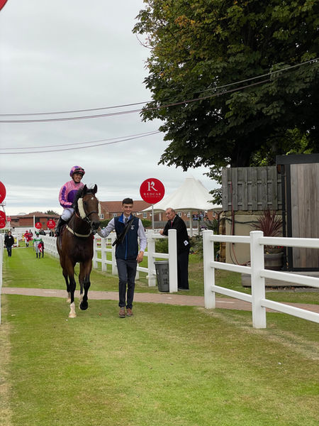 Fountain of Youth - As If By Chance (2).jpg