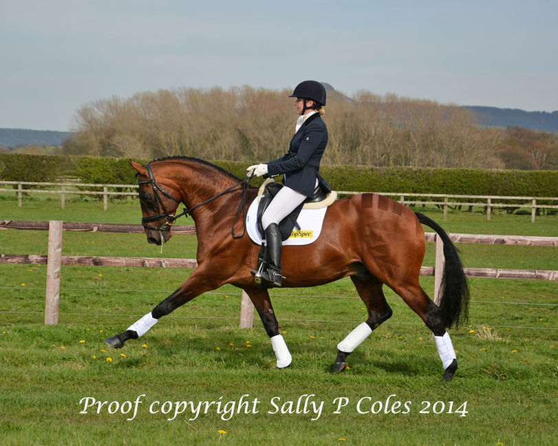 Up With The Lark (12).jpg