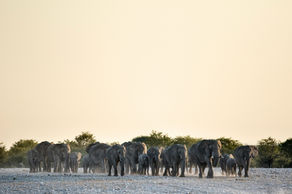 Day 2: Tarangire → Ngorongoro Crater → Arusha ✈️ Zanzibar