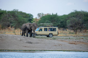 4-Day Tanzania Safari Package Itinerary and Price