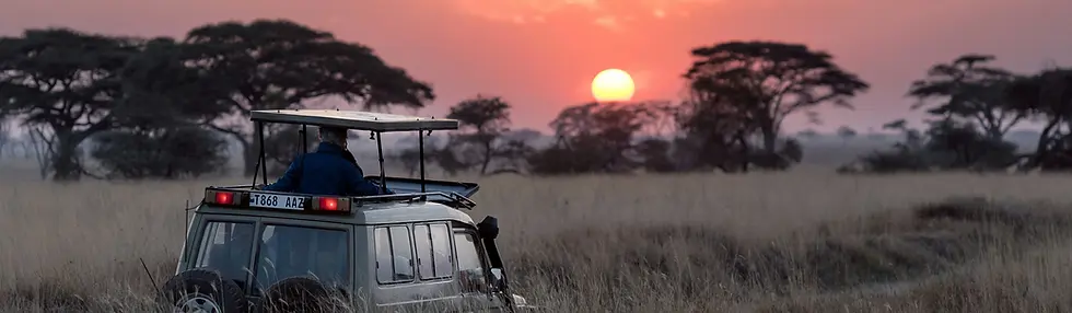 3 day tanzania safari from zanzibar 