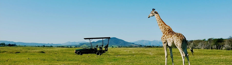 tanzania safari from zanzibar - 5 day