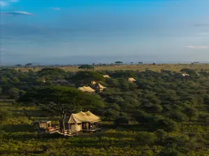 Safari Options from Zanzibar: Fly-In and Drive Safaris Explained