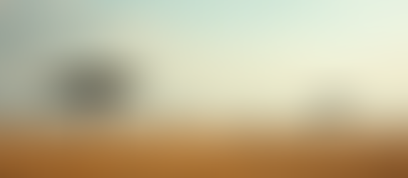 Discover the Wonders of Tanzania Safaris