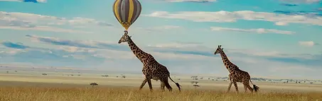 3 day tanzania safari from zanzibar