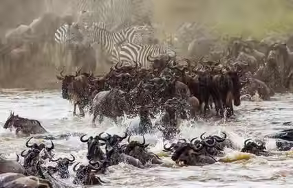 4-Day Safari from Zanzibar: What to Expect & Highlights
