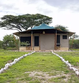 serengeti haven camp