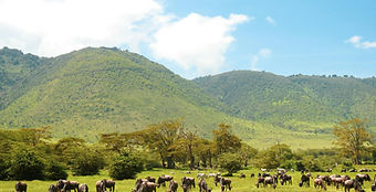 Ngorongoro crater