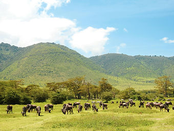 Ngorongoro crater