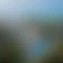 Lohnt sich eine Safari ab Sansibar? Ein klarer und ehrlicher Leitfaden für Erstbesucher