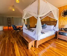 Serengeti safari Haven