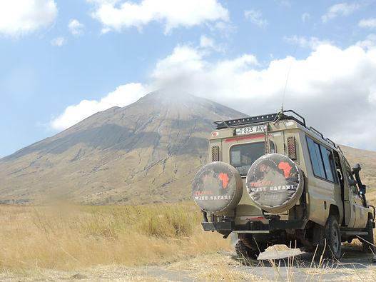 Travel Wise Safari