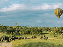 Balloon safari in Serengeti