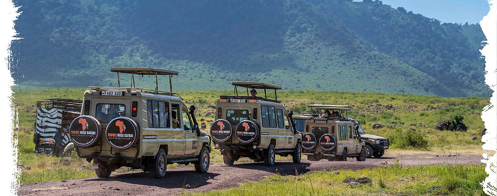 Safari-Jeeps mit dem Logo „Travel Wise Safari“ fahren auf einem Feldweg durch eine üppige Landschaft mit Bergen im Hintergrund. Üppiges Grün umgibt die Umgebung.