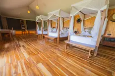 Safari Haven Serengeti
