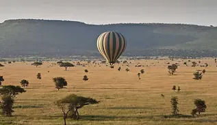 tanzania safari from the sky