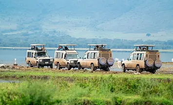 📍 H2: What You’ll Experience on This 2-Day Safari