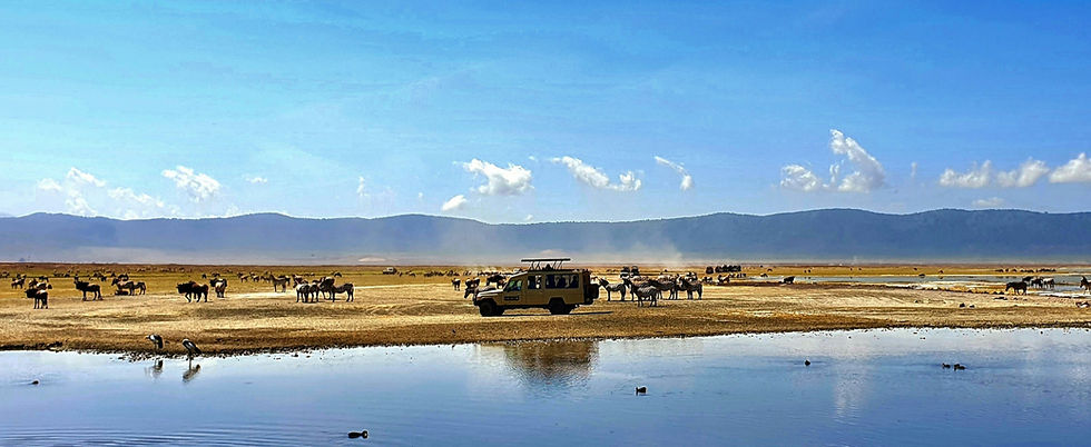 Zebras und Antilopen durchstreifen eine Savanne nahe eines Gewässers. Ein Safarifahrzeug beobachtet die Tiere unter strahlend blauem Himmel mit Bergen im Hintergrund.