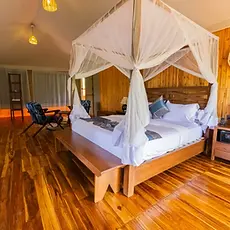 serengeti safari haven