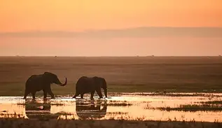 4 Day Serengeti Luxury Fly-in Safari