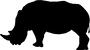 white-rhino