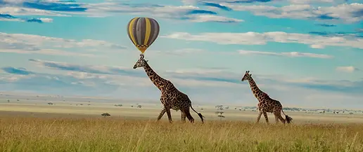 fly-in and out safari from zanzibar