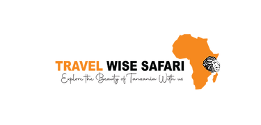 logo png tws