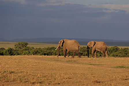 zanzibar tours