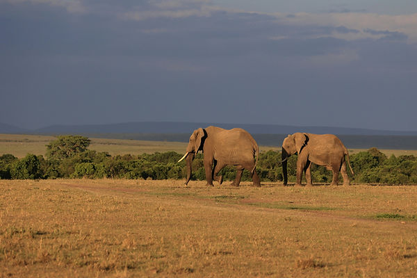 zanzibar tours